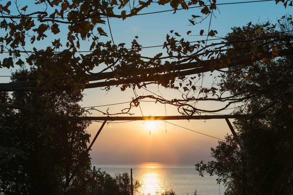 To Mpalkoni Otel Chorefton Dış mekan fotoğraf