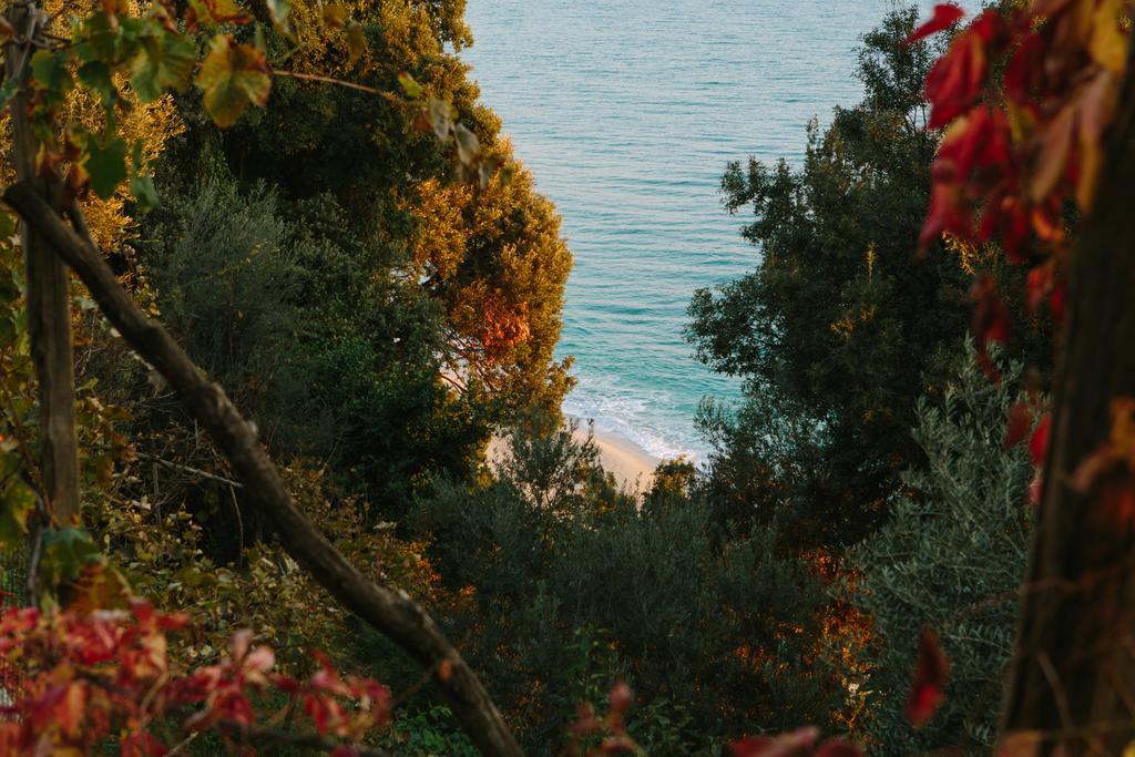 To Mpalkoni Otel Chorefton Dış mekan fotoğraf